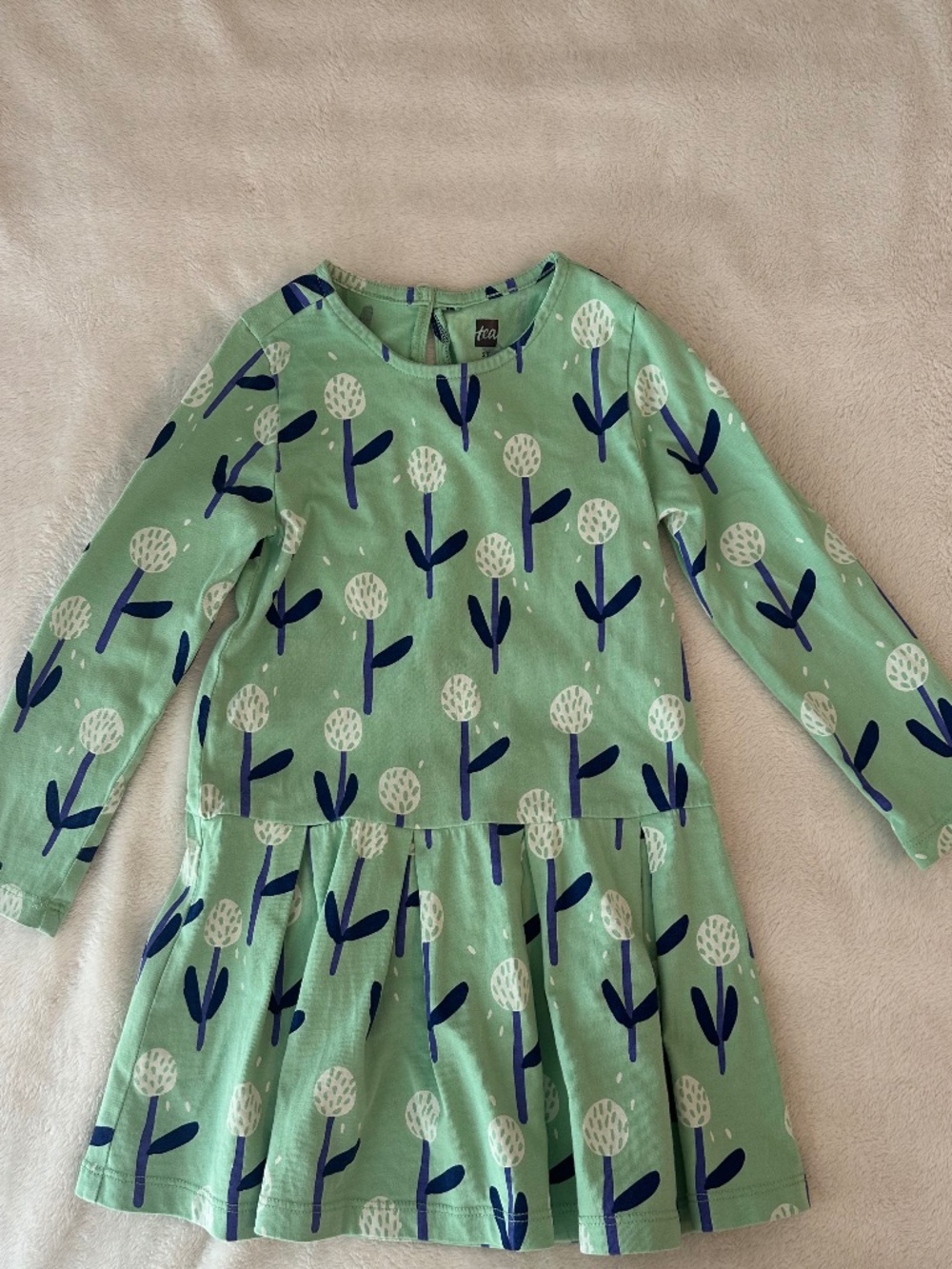 Tea Collection Pleated Dress 2T